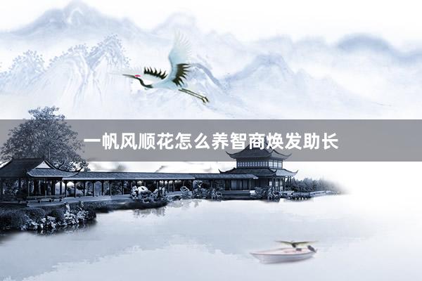 一帆风顺花怎么养智商焕发助长